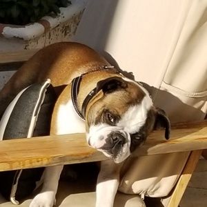 Meet your Posher, Ken